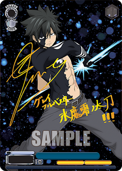 Weiss Schwarz TCG: Fairy Tail 100 Years Quest Booster Box - 12 Packs Card Game Bushiroad