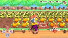 Pretty Princess Magical Garden Island [Nintendo Switch] Nintendo Switch Video Game Aksys Games   