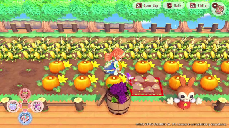 Pretty Princess Magical Garden Island [Nintendo Switch] Nintendo Switch Video Game Aksys Games   