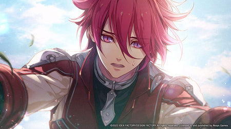 Radiant Tale [Nintendo Switch] Nintendo Switch Video Game Aksys Games   