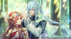 Radiant Tale [Nintendo Switch] Nintendo Switch Video Game Aksys Games   