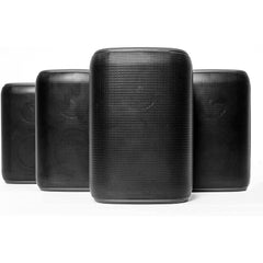 Rocksteady Stadium Portable Bluetooth Speaker Bundle - 4 Stereo Speakers [Electronics] Electronics Rocksteady   