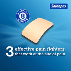Salonpas Pain Relieving Patch - 140 Patches [Healthcare] Healthcare Hisamitsu   