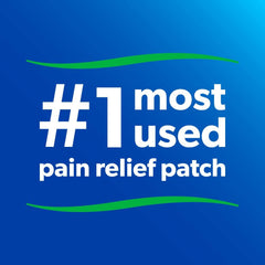 Salonpas Pain Relieving Patch - 140 Patches [Healthcare] Healthcare Hisamitsu   