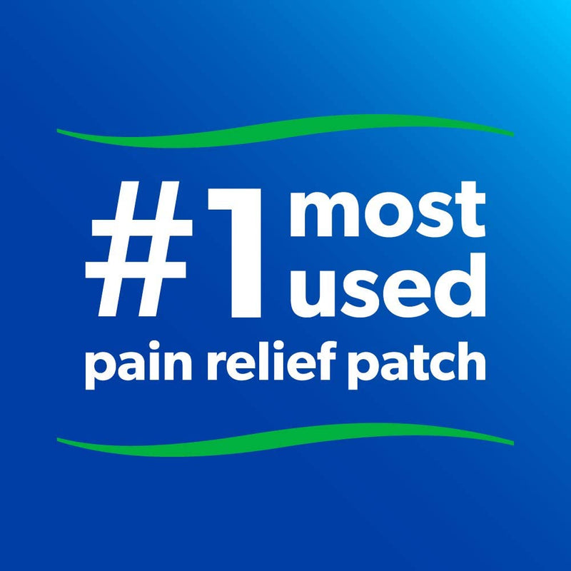 Salonpas Pain Relieving Patch - 140 Patches [Healthcare] Healthcare Hisamitsu   