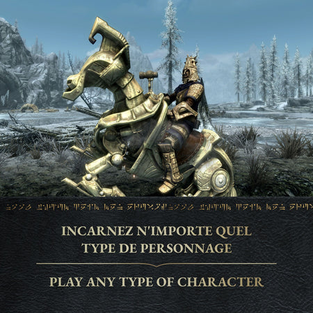 Skyrim Anniversary Edition [Nintendo Switch 2] Nintendo Switch 2 Video Game Bethesda