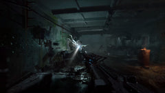 S.T.A.L.K.E.R. 2: Heart of Chornobyl [PlayStation 5] PlayStation 5 Video Game Plaion