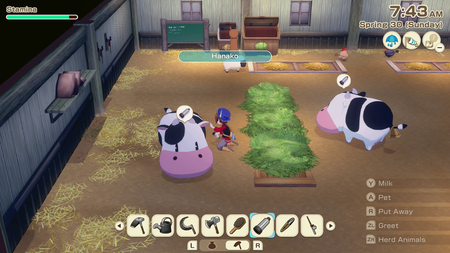 Story of Seasons Grand Bazaar - Standard Edition [Nintendo Switch 2] Nintendo Switch 2 Video Game XSEED Games
