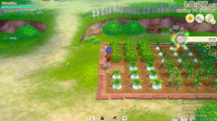 Story of Seasons Grand Bazaar - Premium Edition [Nintendo Switch 2] Nintendo Switch 2 Video Game XSEED Games