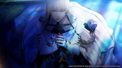 Virche Evermore - Error: Salvation [Nintendo Switch] Nintendo Switch Video Game Aksys Games   