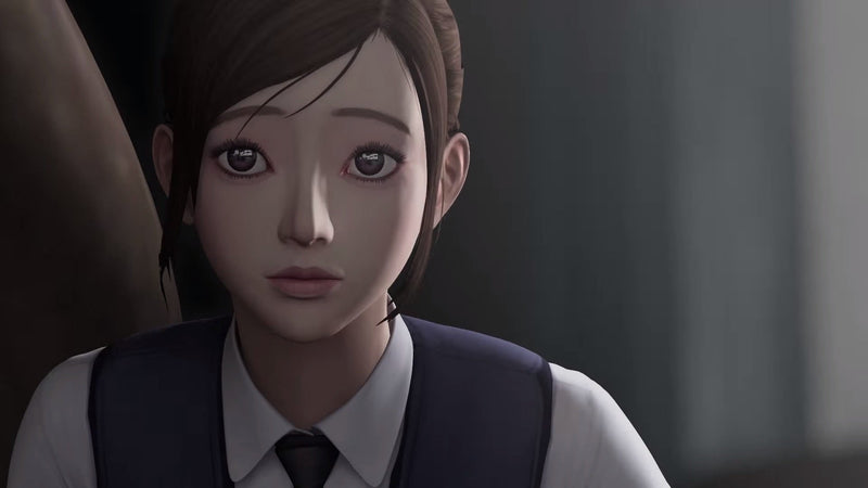 WhiteDay: A Labyrinth Named School [PlayStation 4] PlayStation 4 Video Game PQube   