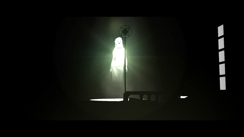 White Night [Nintendo Switch] Nintendo Switch Video Game Tesura Games   