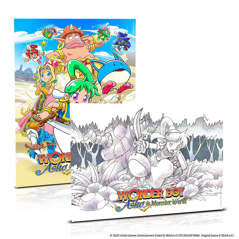 Wonder Boy: Asha in Monster World - Collector's Edition [Nintendo Switch] Nintendo Switch Video Game ININ Games   