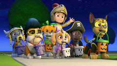 PAW Patrol: Pups Save Halloween [DVD] DVDs & Blu-Rays Elevation Pictures   