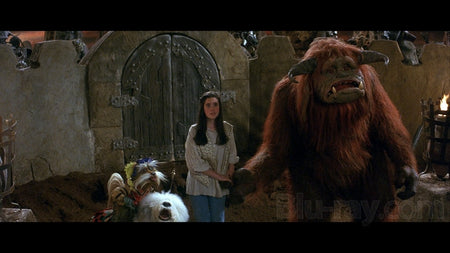 Labyrinth: 30th Anniversary Collector's Edition [Blu-Ray + Digital Box Set] DVDs & Blu-Rays Sony   