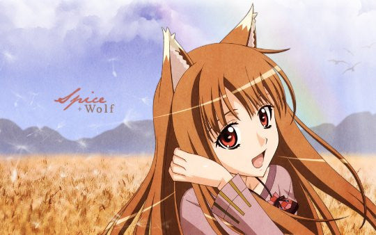 Spice and Wolf Anniversary Collector's Edition [Hardcover Book] Book Yen Press   