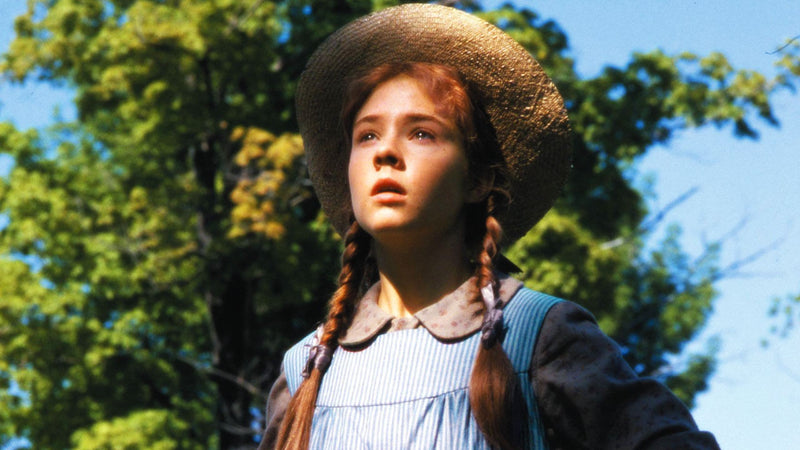 Anne of Green Gables: Five-Disc Collector's Edition [DVD Box Set] DVDs & Blu-Rays Sullivan   