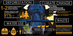 Cowspiracy: The Sustainability Secret [DVD] DVDs & Blu-Rays A.U.M. Films   