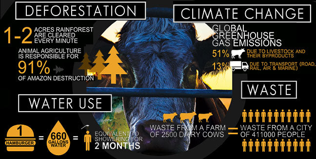 Cowspiracy: The Sustainability Secret [DVD] DVDs & Blu-Rays A.U.M. Films   