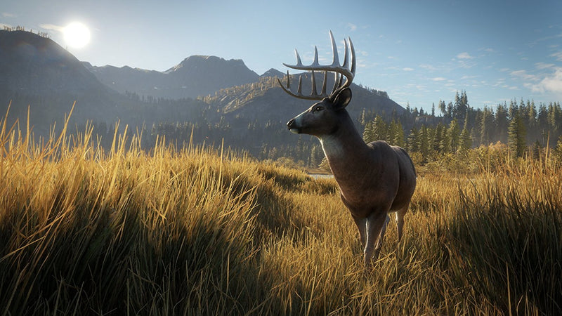 theHunter: Call of the Wild [PlayStation 4] PlayStation 4 Video Game Nordic Games   