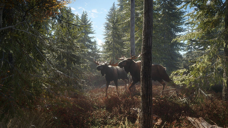 theHunter: Call of the Wild [PlayStation 4] PlayStation 4 Video Game Nordic Games   