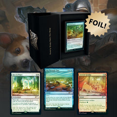 Magic the Gathering: Secret Lair Every Dog Has Its Day (Foil) Card Game Wizards of the Coast   