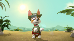 PAW Patrol: Tracker Joins the Pups [DVD] DVDs & Blu-Rays Elevation Pictures   