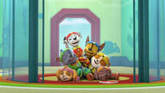 PAW Patrol: Sports Day [DVD] DVDs & Blu-Rays Nickelodeon   