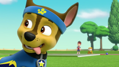 PAW Patrol: Sports Day [DVD] DVDs & Blu-Rays Nickelodeon   