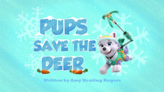 PAW Patrol: Icy Adventures [DVD] DVDs & Blu-Rays Elevation Pictures   