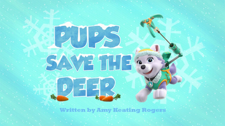 PAW Patrol: Icy Adventures [DVD] DVDs & Blu-Rays Elevation Pictures   