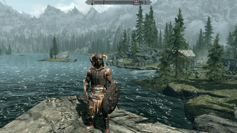 The Elder Scrolls V: Skyrim [PC] PC Video Game Bethesda   