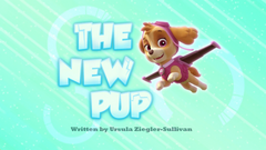 PAW Patrol: Icy Adventures [DVD] DVDs & Blu-Rays Elevation Pictures   