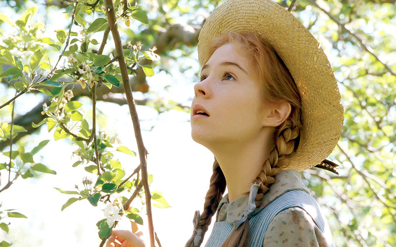 Anne of Green Gables: The Collection [DVD Box Set] DVDs & Blu-Rays Sullivan   