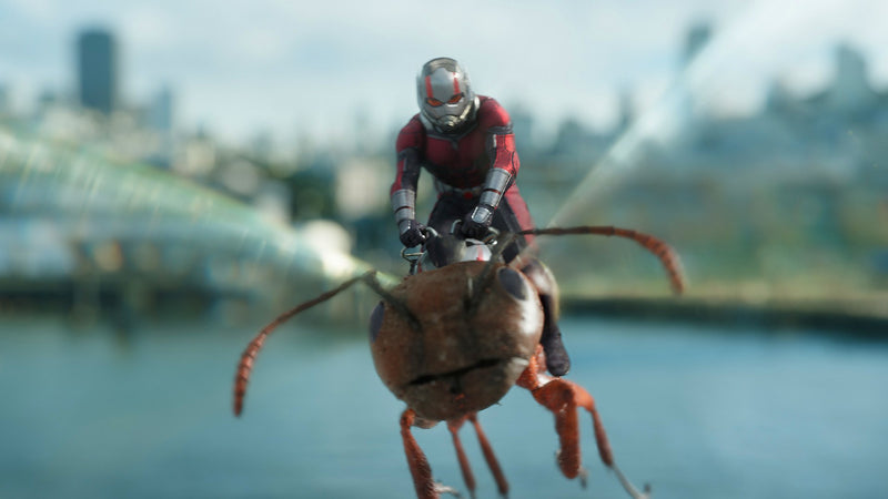 Marvel's Ant-Man and The Wasp [3D + 2D Blu-Ray] DVDs & Blu-Rays Marvel   