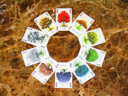 Arboretum Card Game Renegade Games   