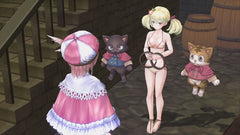 Atelier Rorona: The Alchemist Of Arland [PlayStation 3] PlayStation 3 Video Game NIS America   