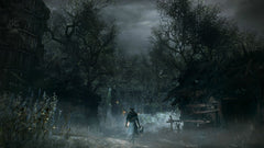 Bloodborne [PlayStation 4] PlayStation 4 Video Game Sony   