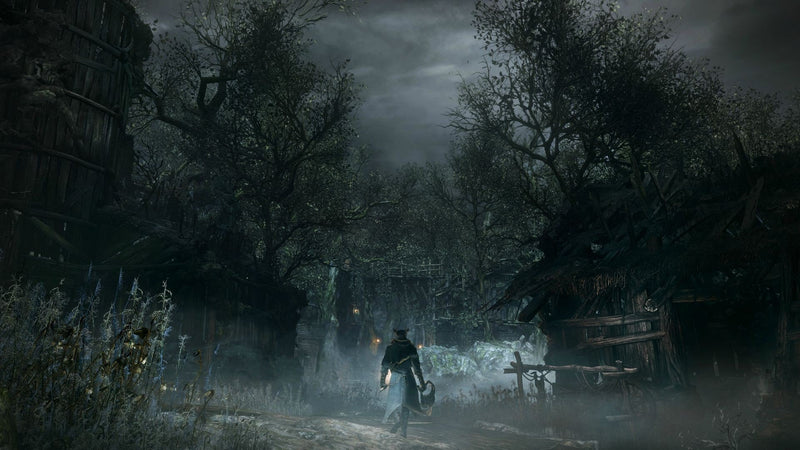 Bloodborne [PlayStation 4] PlayStation 4 Video Game Sony   