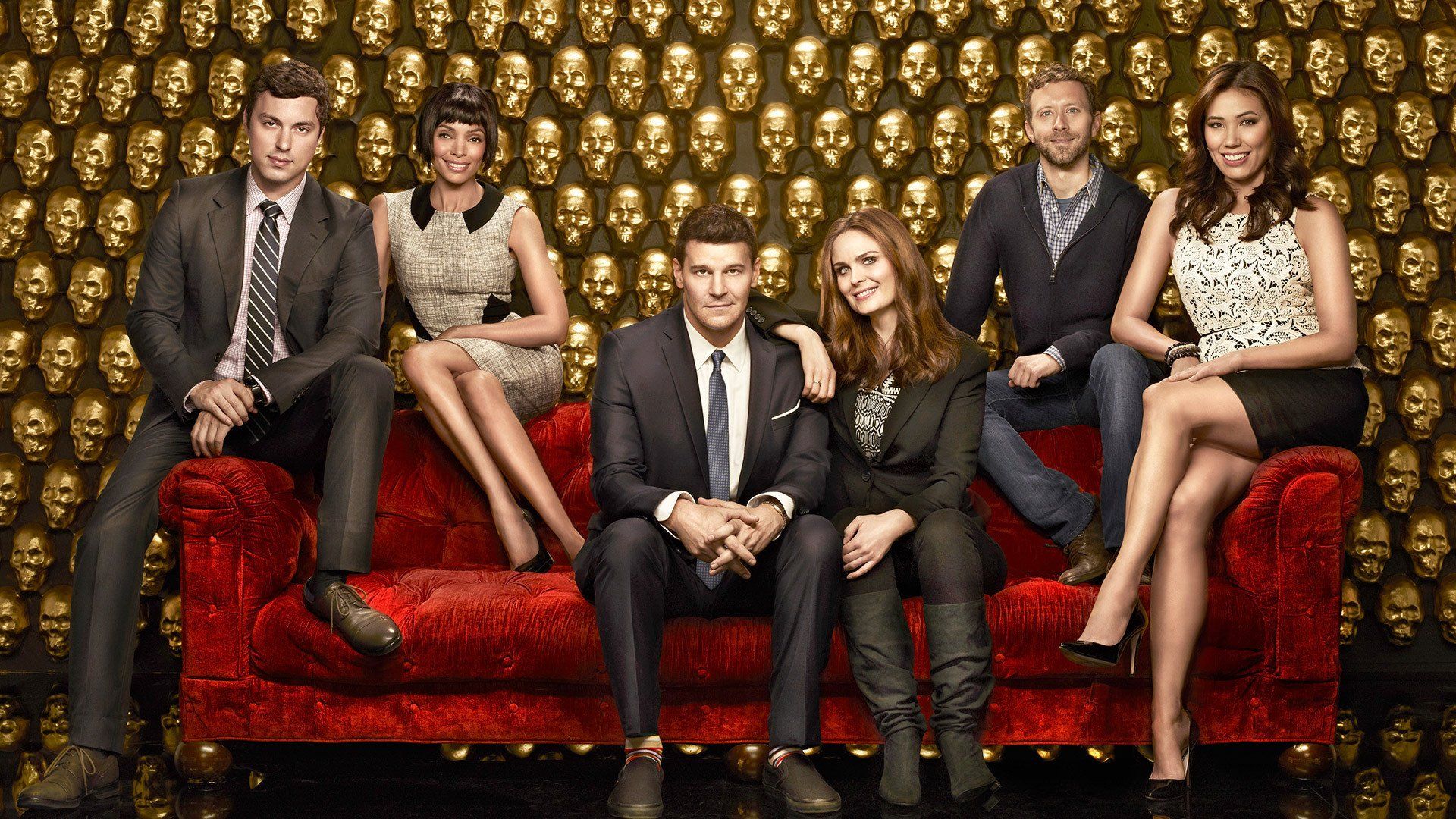 Bones: The Complete Series - Seasons 1-12 [DVD Box Set] – Shopville