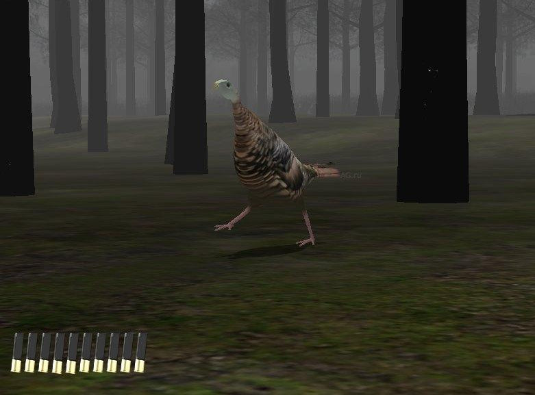 Canada Hunt [Nintendo Wii] Nintendo Wii Video Game Nintendo   