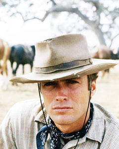 Rawhide: The Complete Series - Seasons 1-6 [DVD Box Set] DVDs & Blu-Rays Paramount Pictures   