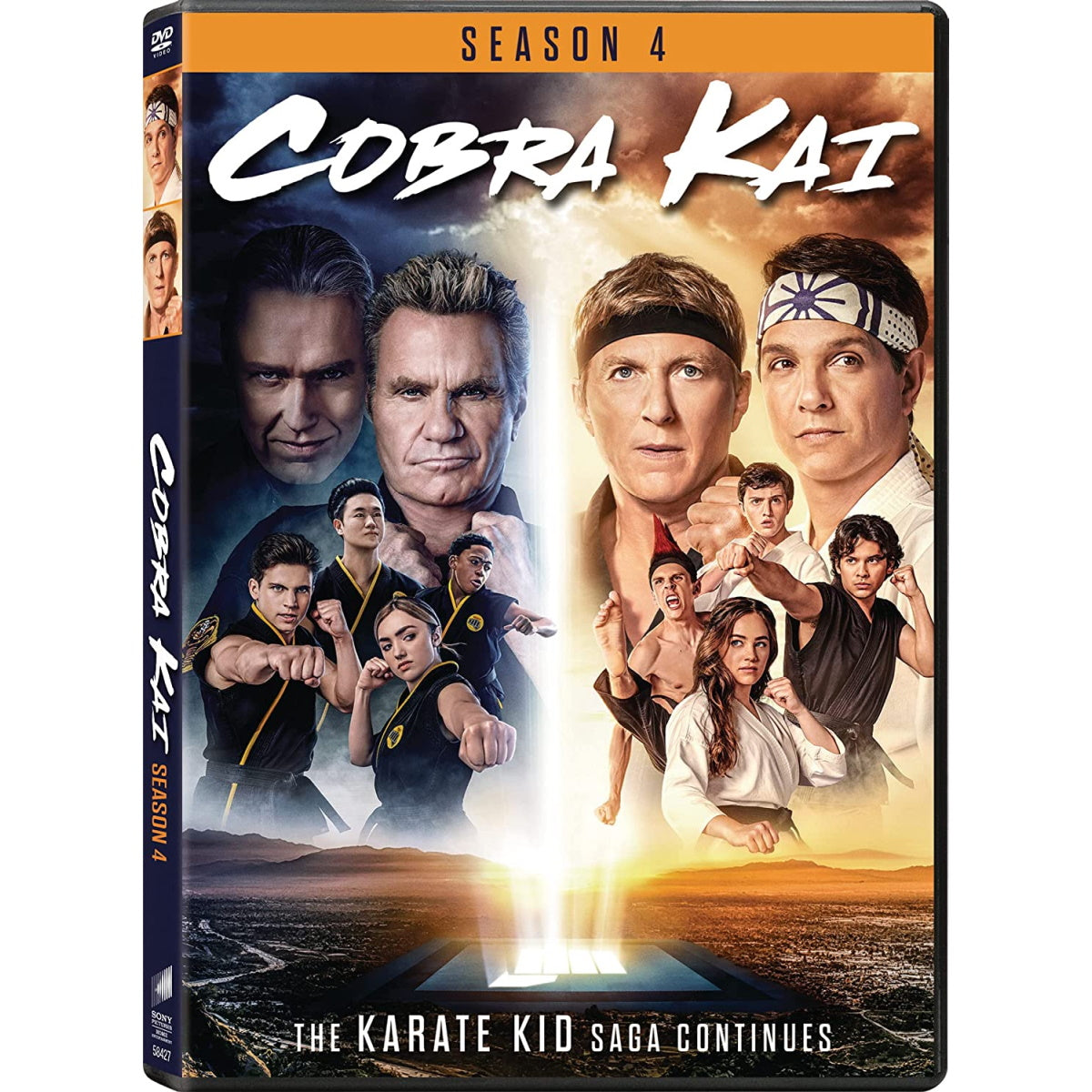 Análise: Cobra Kai: The Karate Kid Saga Continues (Multi) expande