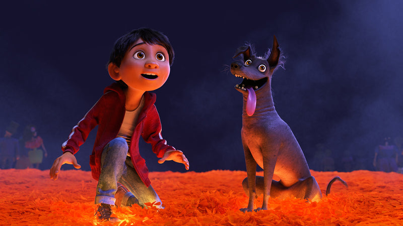 Disney's Coco [3D + 2D Blu-Ray] DVDs & Blu-Rays Disney   