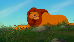 Disney's The Lion King: The Circle of Life Edition - The Walt Disney Signature Collection [Blu-Ray + DVD + Digital] DVDs & Blu-Rays Disney   