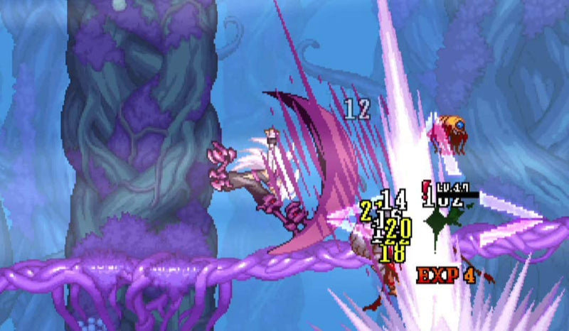 Dragon Marked For Death [Nintendo Switch] Nintendo Switch Video Game Nighthawk Interactive   