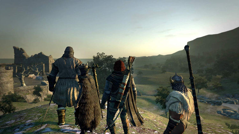 Dragon's Dogma: Dark Arisen [Nintendo Switch] Nintendo Switch Video Game Capcom   