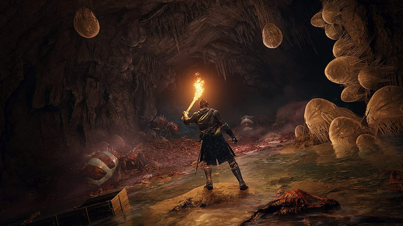 Elden Ring - Collector's Edition [PC] PC Video Game Bandai Namco   