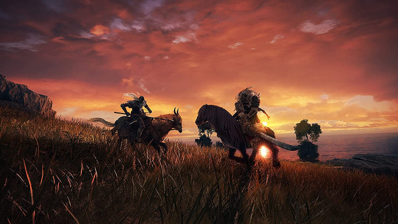 Elden Ring - Collector's Edition [PC] PC Video Game Bandai Namco   