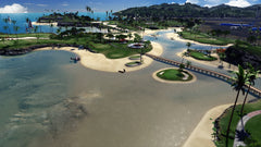 Everybody's Golf VR - PSVR [PlayStation 4] PlayStation 4 Video Game Playstation   